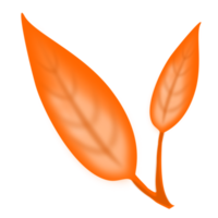 orange leaf 3d png