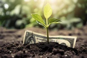 Dollar Seedling - Growth Concept - Plants On Banknotes In Increase photo