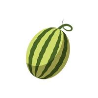 watermelon icon design vector template