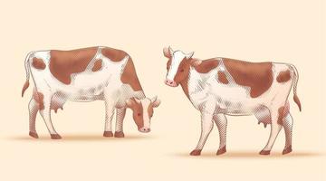 Set of engraved cow illustrations vector