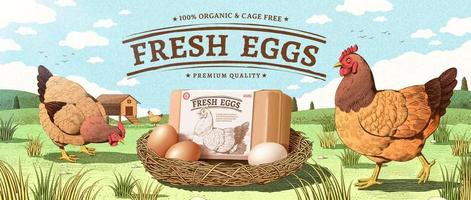 Natural farm product ad banner in engraving design with color. Happy hen walking around a nest with egg box mock up. Concept of free range chicken and fresh farm egg. vector