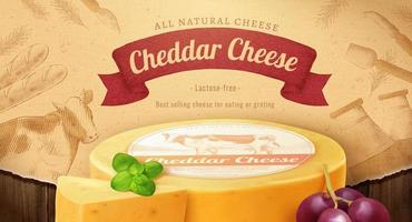 3d cheddar cheese banner ad. Advertisement of natural cheese wheel served with mint leaves and grapes on a monotone engraving background vector