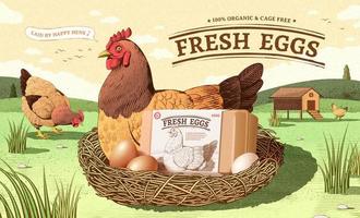 Vintage ad template for fresh farm product in engraving design. A happy hen sits on a nest with egg box mock up. Concept of free range chicken and fresh farm egg. vector