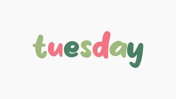 tuesday colorful animation isolated in white background video