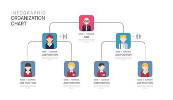 Infographic template for organization chart with business avatar icons. vector infographic for business.