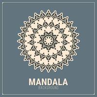 plantilla de diseño de fondo plano mandala vector