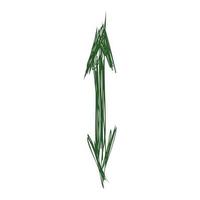 Abstract sketch of the arrow vector