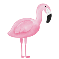 waterverf roze flamingo clip art. png