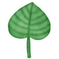 acuarela tropical hoja clipart. png