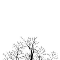 A sketch of a tree vector