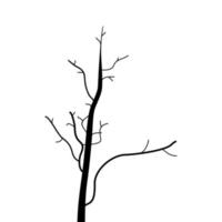 A sketch of a tree vector