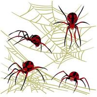 Spider web background for Halloween greeting cards on a white background. A black and red spider on a yellow cobweb hunts and weaves nets. Spiders from different sides. Dangerous spider and cobweb photo