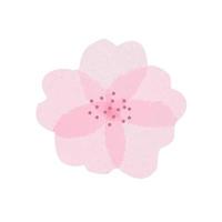 Isolated beautiful tender watercolor sakura flower with light pink transparent petals vector