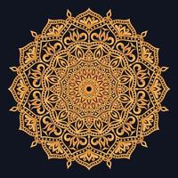 Decorative elements luxury ornament pattern gradient mandala design vector