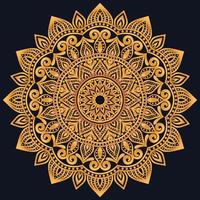 Decorative elements luxury ornament pattern gradient mandala design vector
