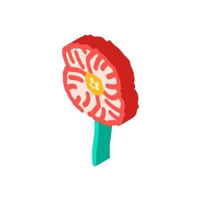poppy flower spring isometric icon vector illustration