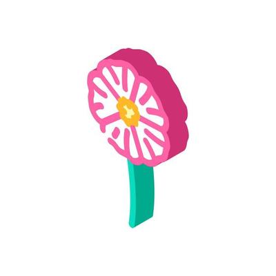 hibiscus flower spring isometric icon vector illustration