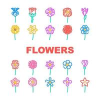 flower spring floral blossom icons set vector