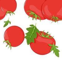 Seamless border of red tomatoes with green leaves vector