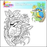 cute bird kingfisher, coloring book vector