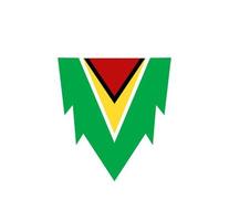 Guyana flag icon, illustration of national flag design with elegance concept, perfect for independence design vector