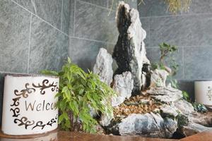 Plants growing amidst stones at poolside in hotel photo