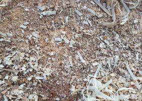 Wood shavings and chips texture photo