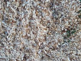 Wood shavings and chips texture photo