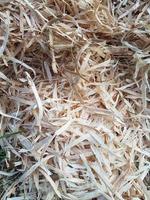 Wood shavings and chips texture photo