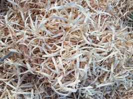 Wood shavings and chips texture photo