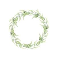 A round frame made of green branches and leaves. A wreath of foliage. Hand-drawn illustration. For wedding invitations, postcard design and stationery. vector