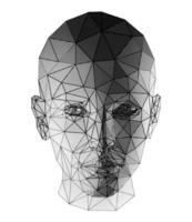 Female head polygonal 3D design. Line- art made by triangular lines.  Low poly design with halftone tonal transitions. vector