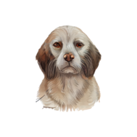 wijnoogst waterverf hond png