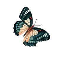 Vintage Watercolor butterfly png