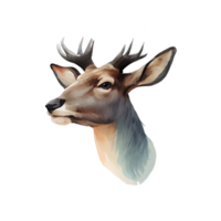 Vintage Watercolor Deer png