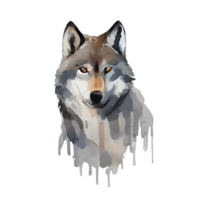 Vintage Watercolor Gray Wolf png