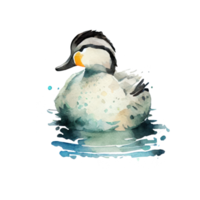 Vintage Watercolor Duck png