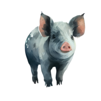 Vintage Watercolor Pig png