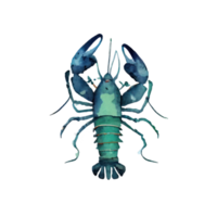 ancien aquarelle Homard png