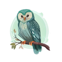 Vintage Watercolor owl png