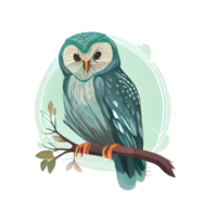 ancien aquarelle hibou png