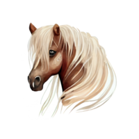 ancien aquarelle poney png