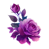 Illustration von Aquarell Rosen png