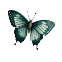 ancien aquarelle papillon png