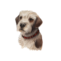 wijnoogst waterverf hond png