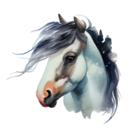 Vintage Watercolor Pony png