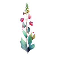 akvarell blomma illustration png