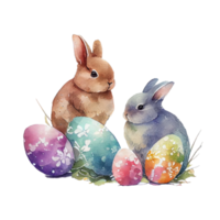 watercolor rabbit spring flowers easter png