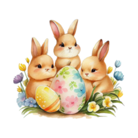acquerello coniglio primavera fiori Pasqua png
