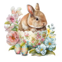 Aquarell Hase Frühling Blumen Ostern png